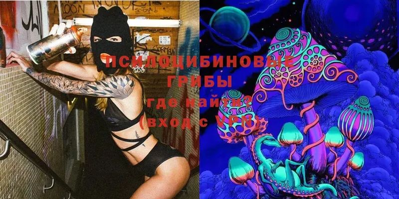 Галлюциногенные грибы MAGIC MUSHROOMS  Богучар 